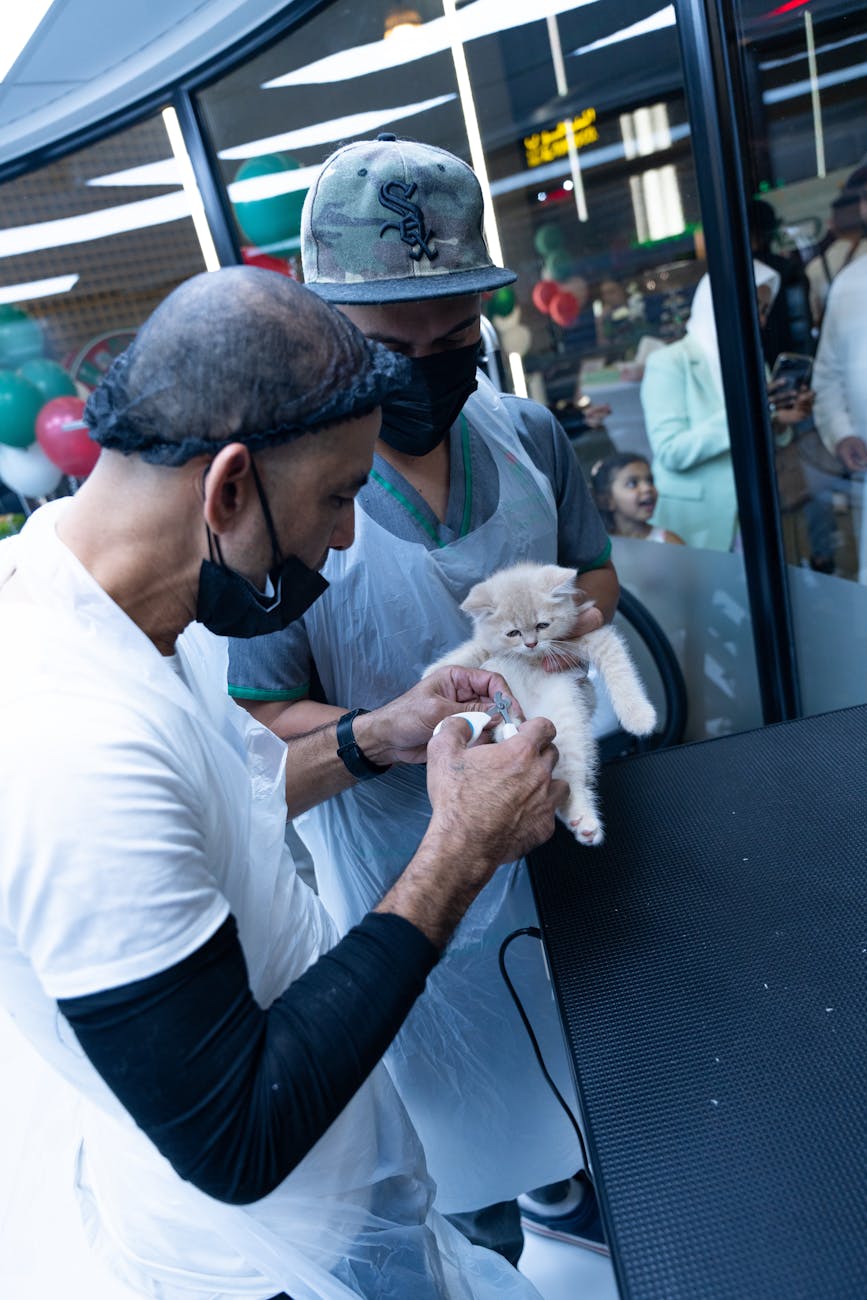 Veterinarians carefully examine a fluffy kitten in a modern clinic.