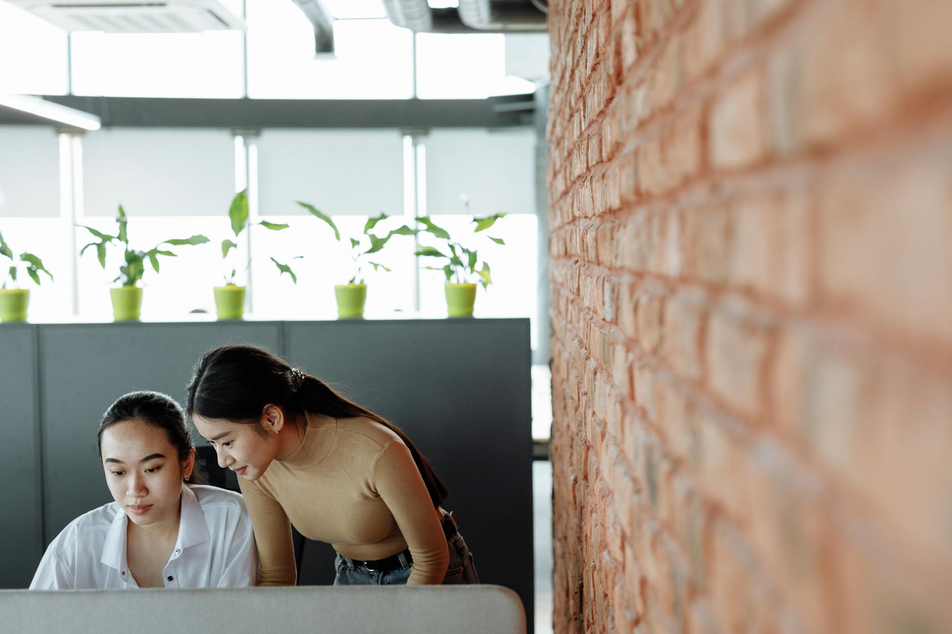Two women working together in a modern office with a brick wall and plants, conveying teamwork and collaboration.